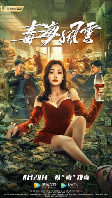 《善良岳母：我爱我的女婿》海报